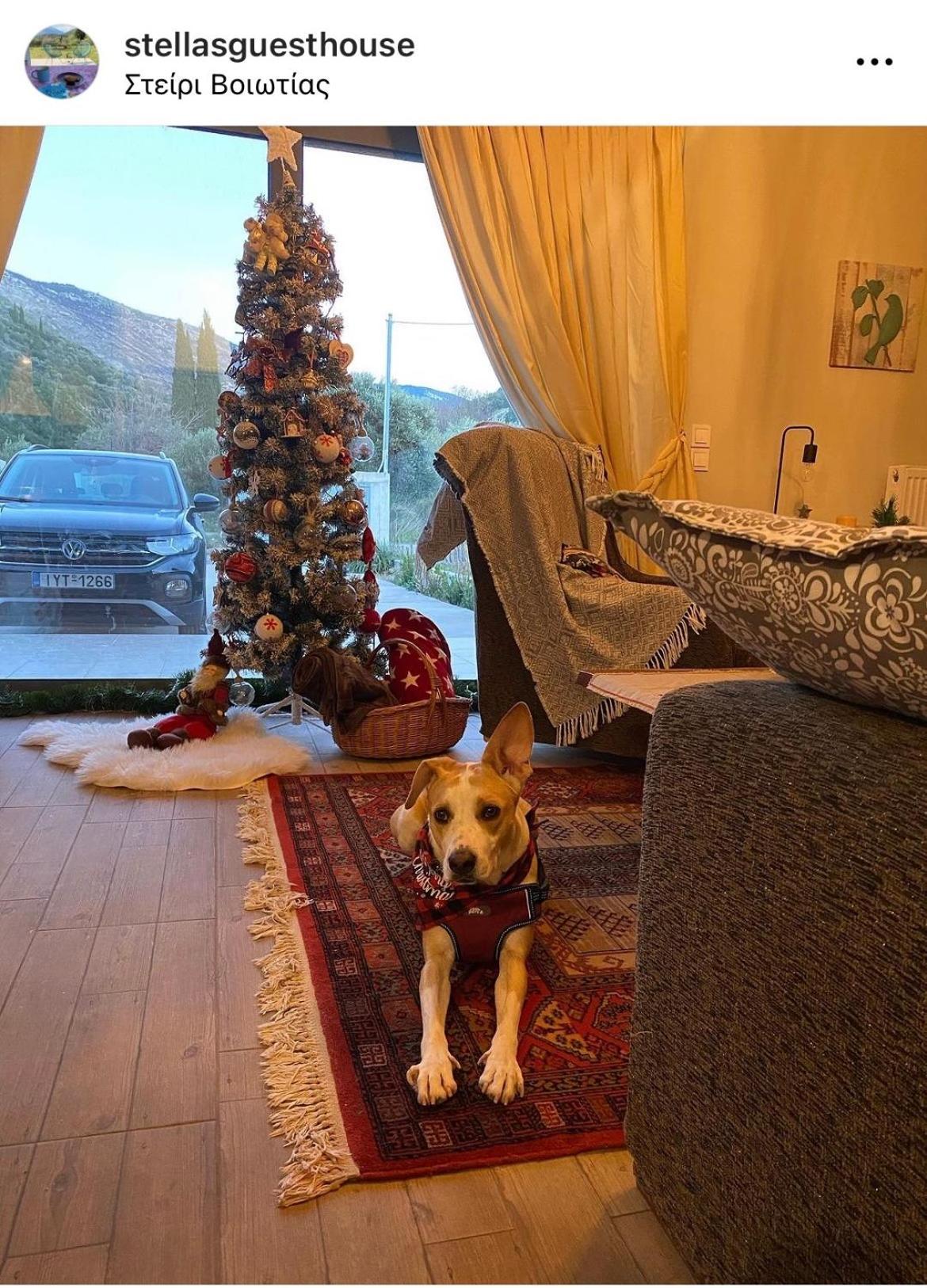 Stellas Guesthouse Near Arachova Stirion Экстерьер фото
