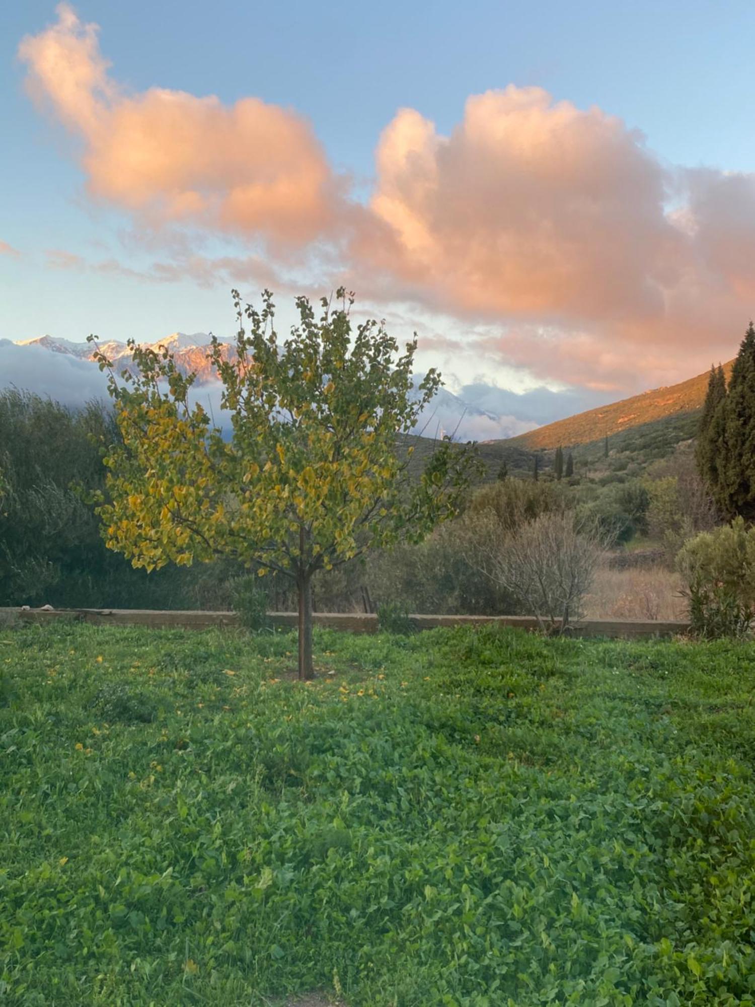 Stellas Guesthouse Near Arachova Stirion Экстерьер фото